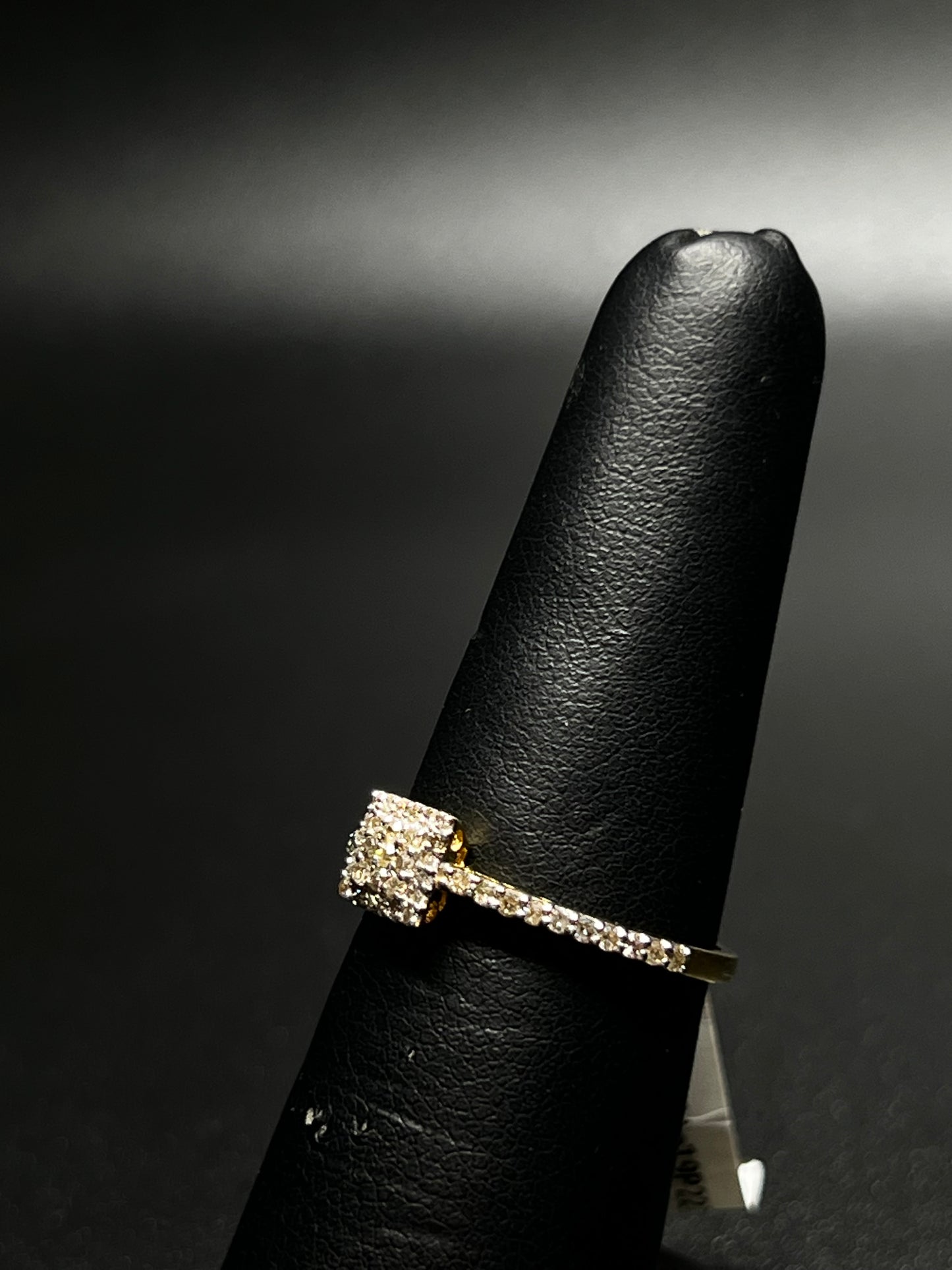 10Kt Gold Diamond Ring